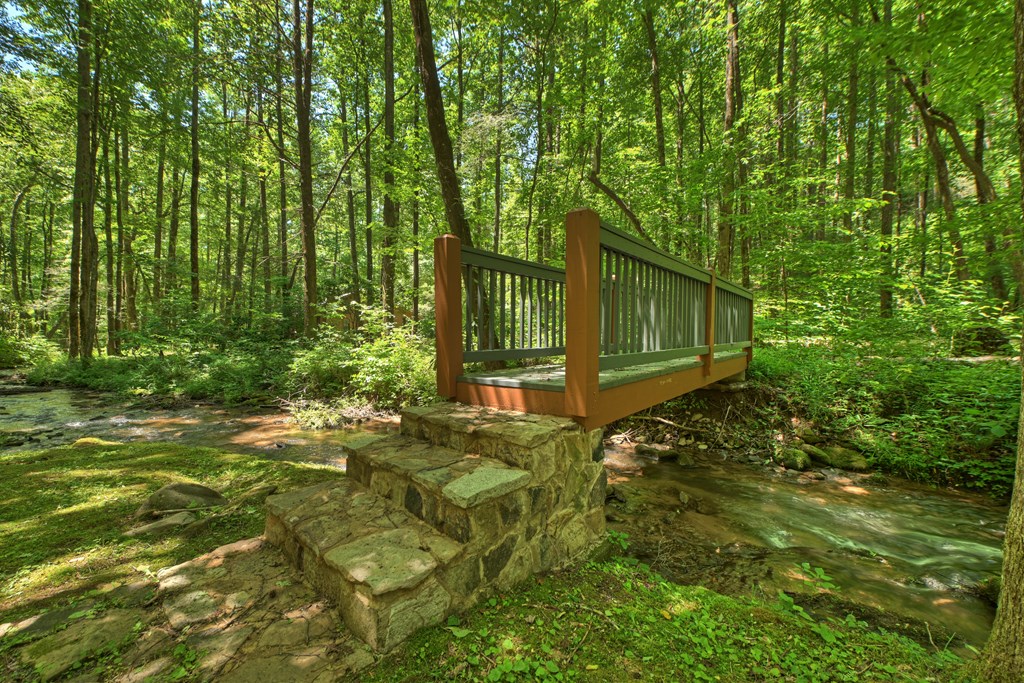 432741 Ellijay Active