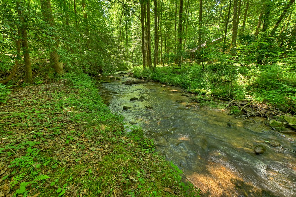 432741 Ellijay Active