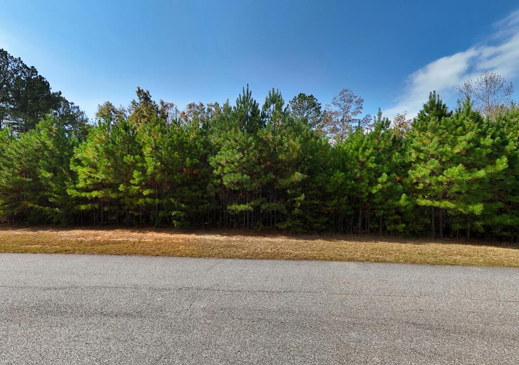 432748  Land