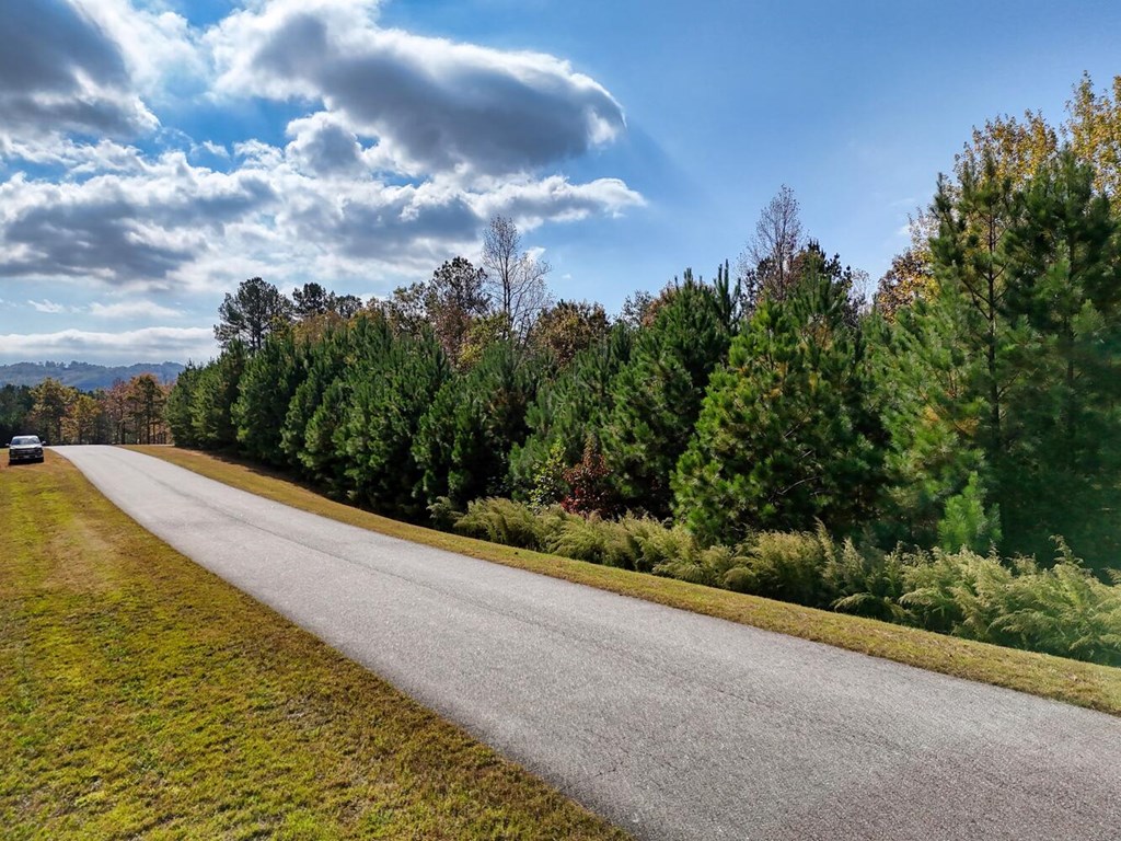 432748 Blairsville
 Land