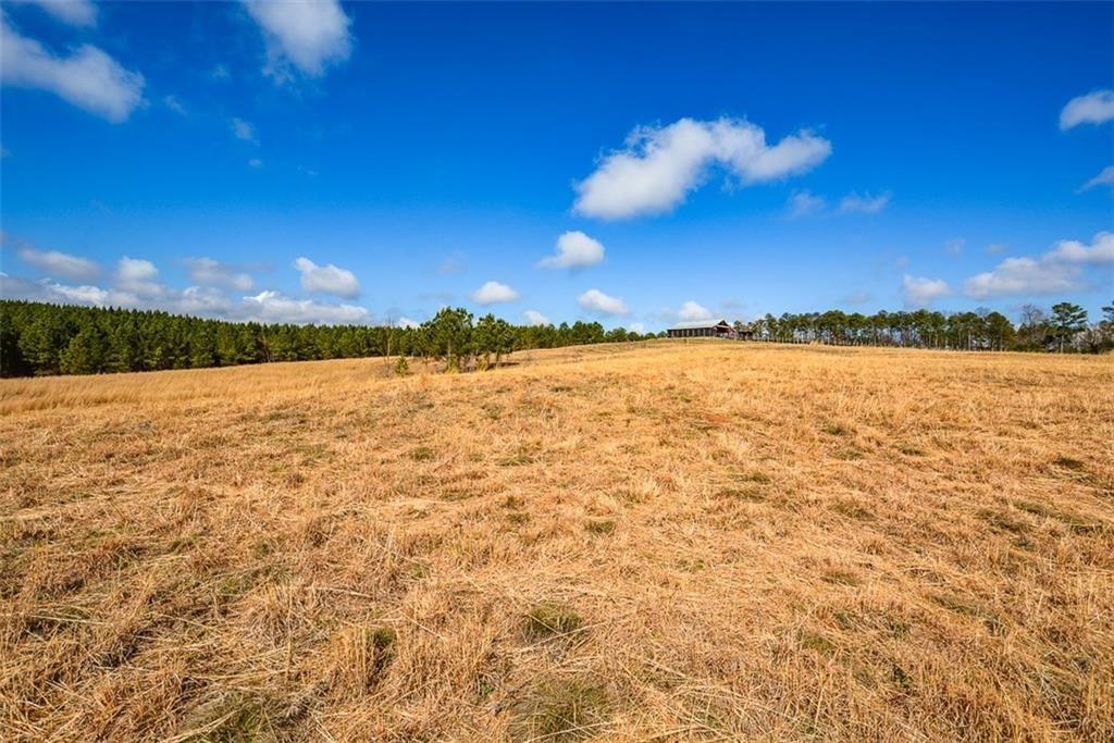 432749  Land
