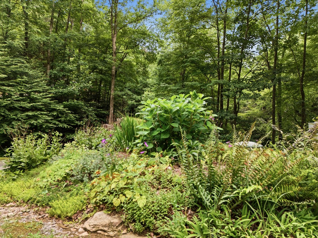 432759 Hayesville Active