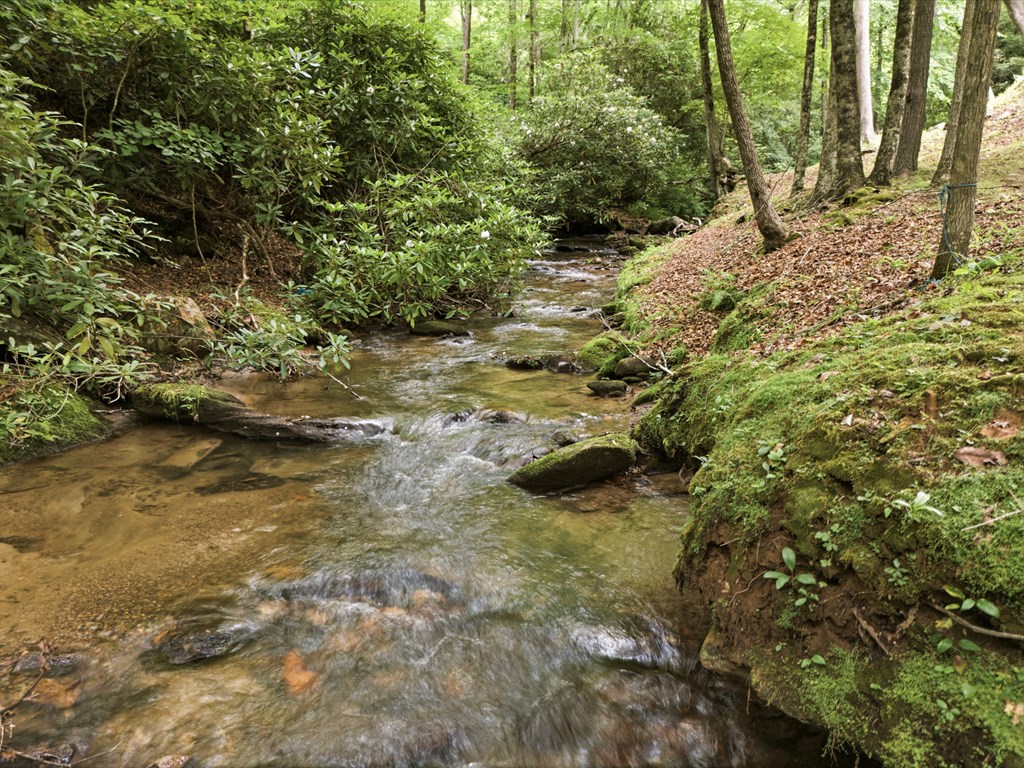 432759 Hayesville Active