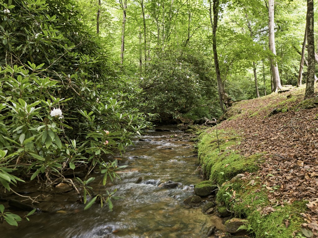 432759 Hayesville Active