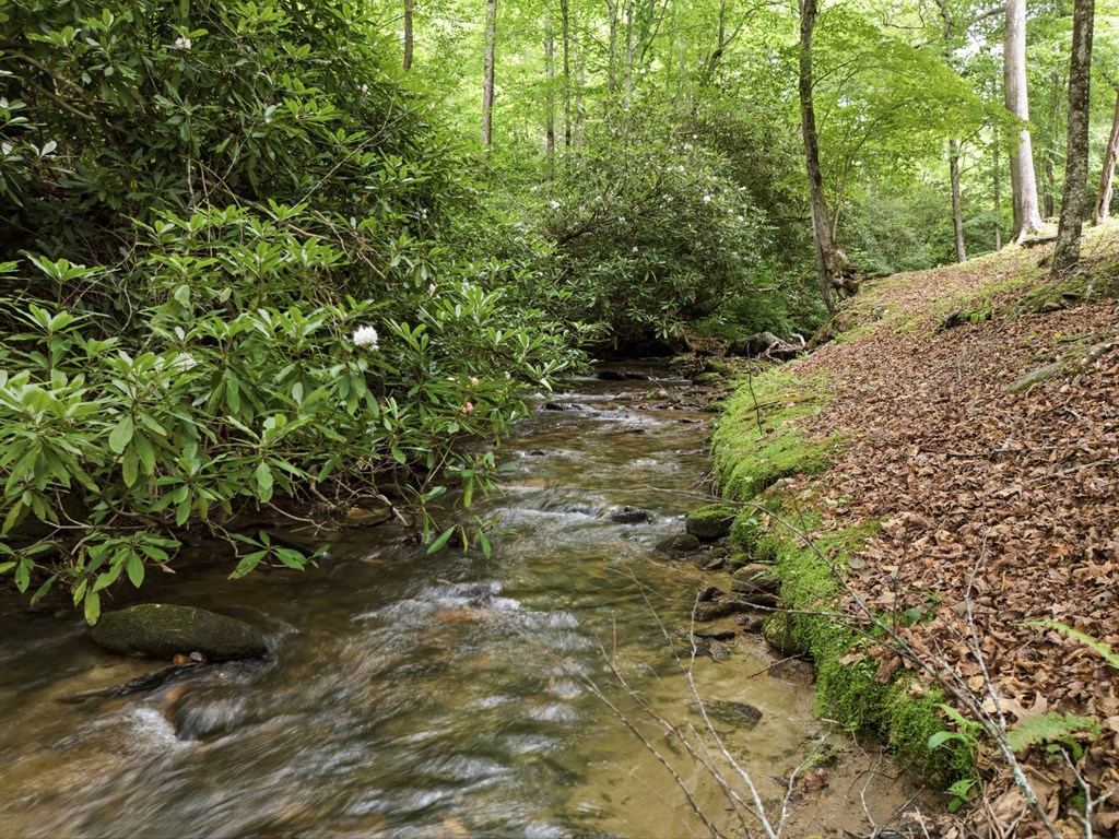 432759 Hayesville Active