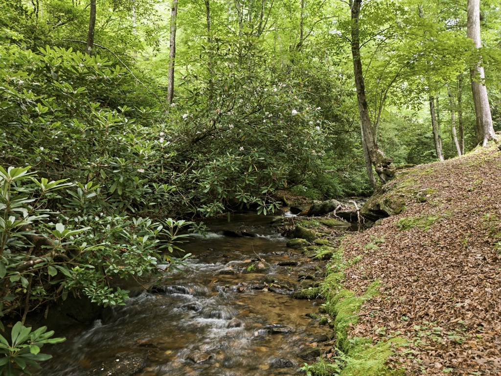 432759 Hayesville Active