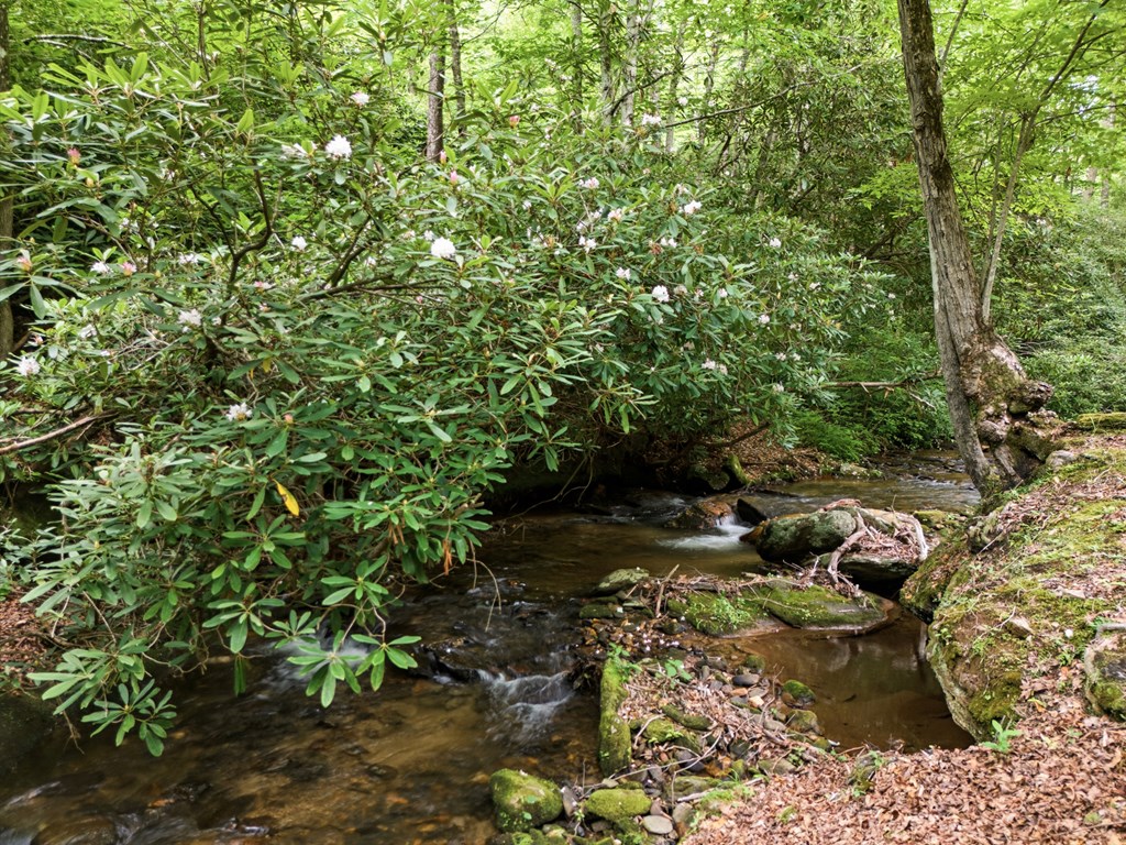 432759 Hayesville Active