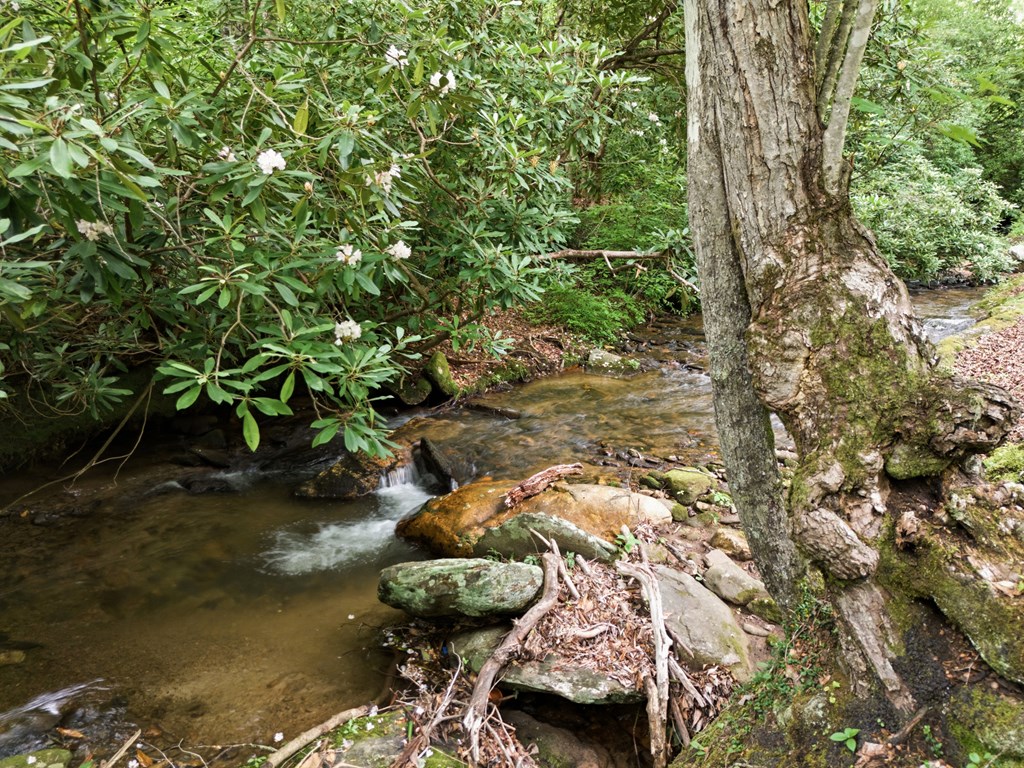 432759 Hayesville Active