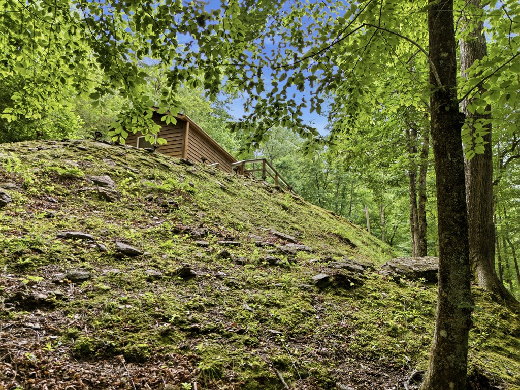 432759 Hayesville Active