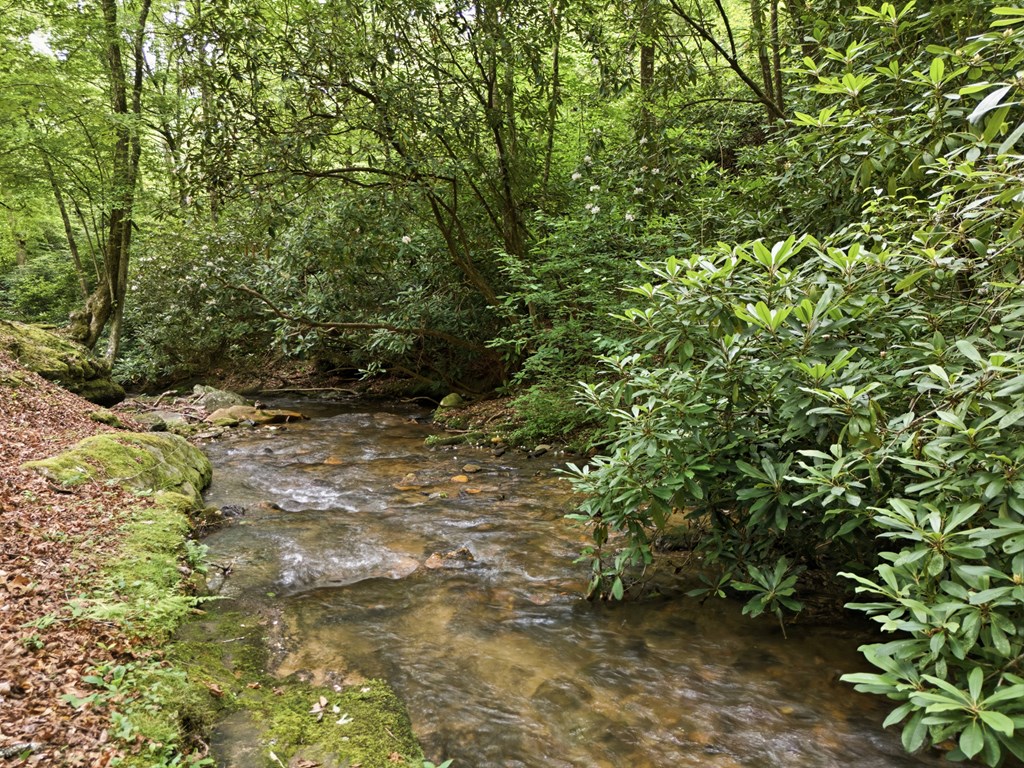 432759 Hayesville Active
