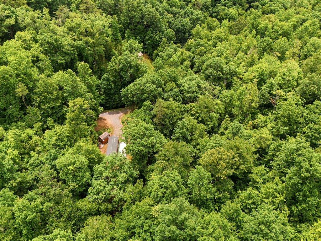 432759 Hayesville Active