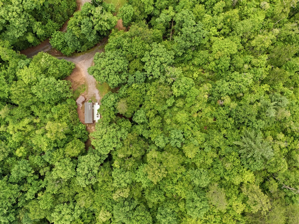 432759 Hayesville Active