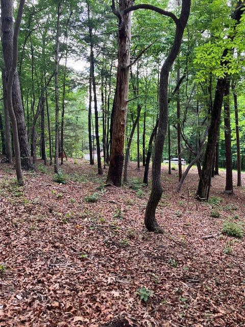 432761 Ellijay
 Land