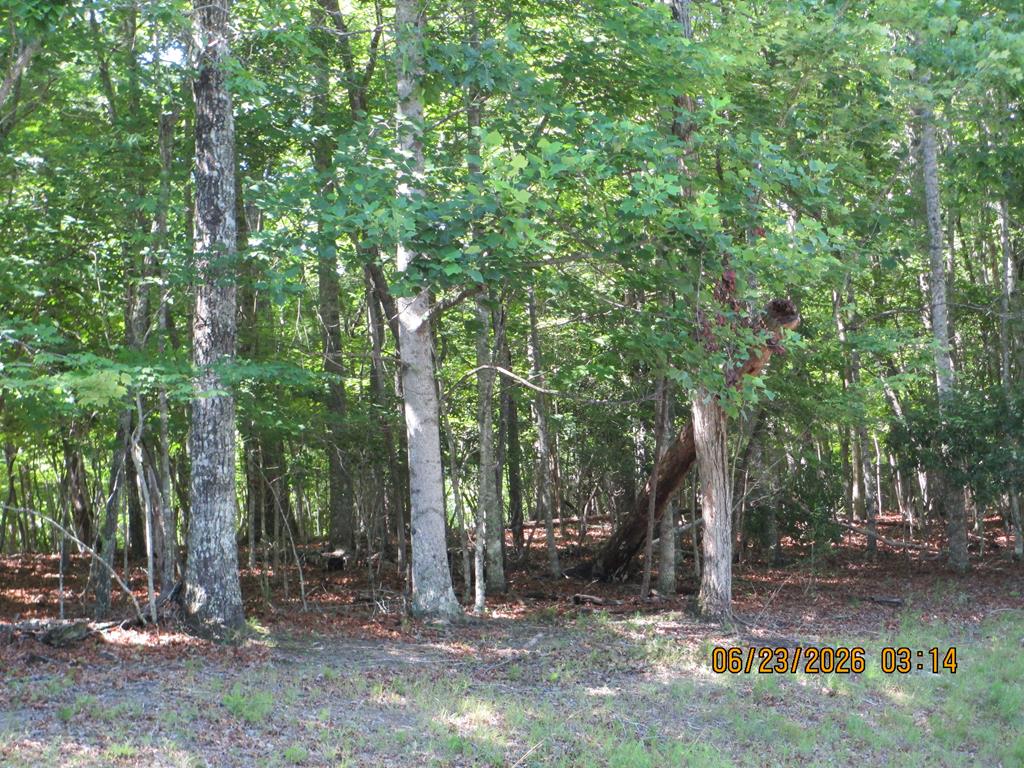 432764  Land