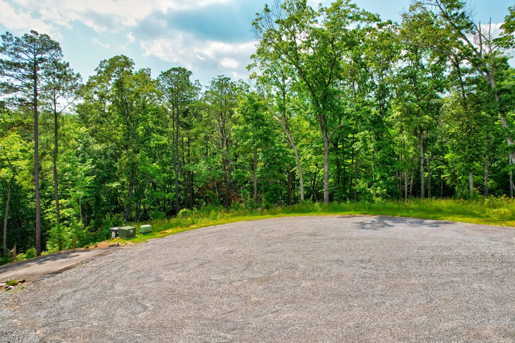 432765 Ellijay
 Land