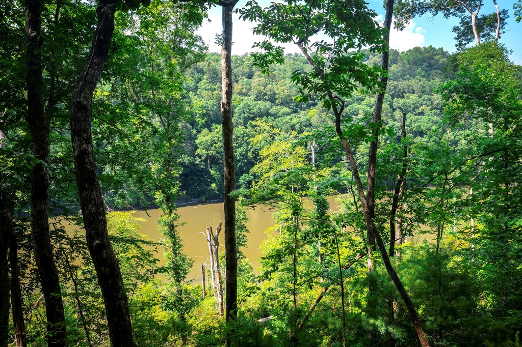 432766 Ellijay
 Land