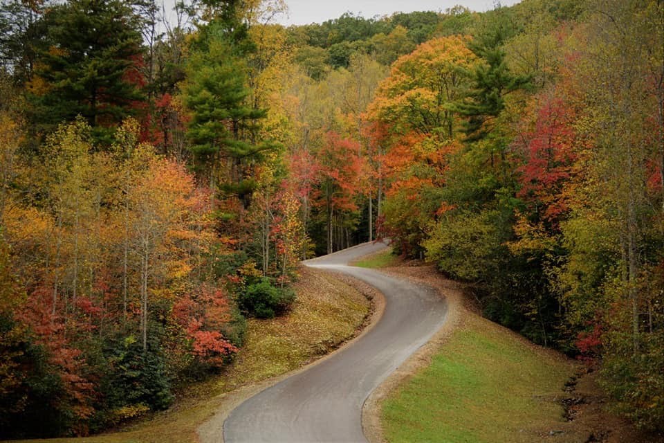 432774 Brasstown
 Land