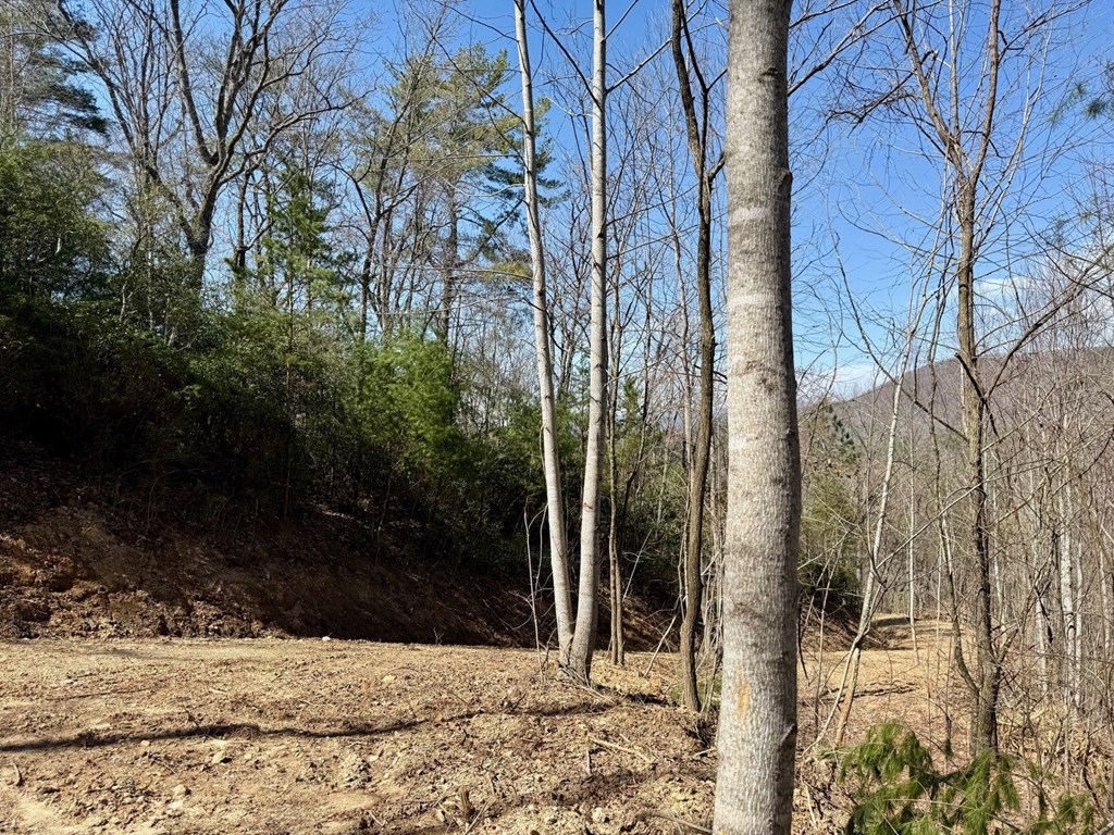432774 Brasstown
 Land
