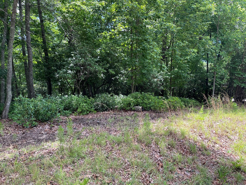 432780 Young Harris
 Land
