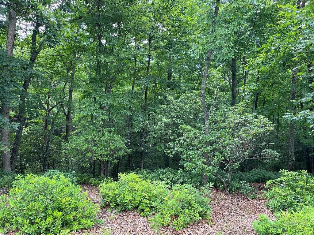 432780 Young Harris
 Land