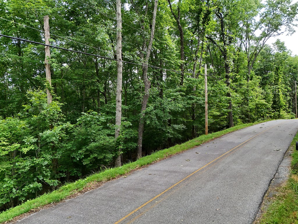 432785 Blue Ridge
 Land