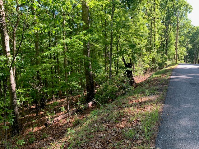 432785 Blue Ridge
 Land
