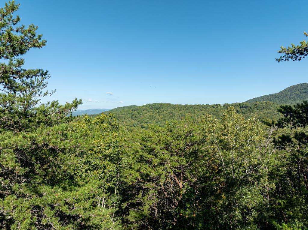432786  Land