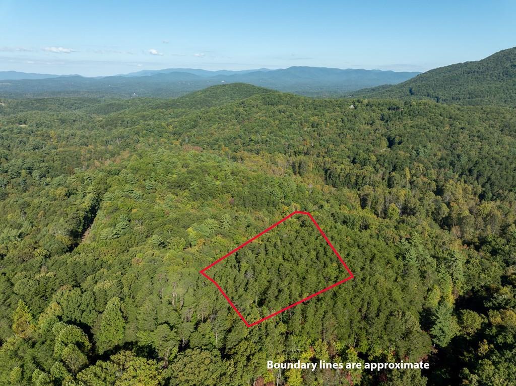 432786 Ellijay
 Land