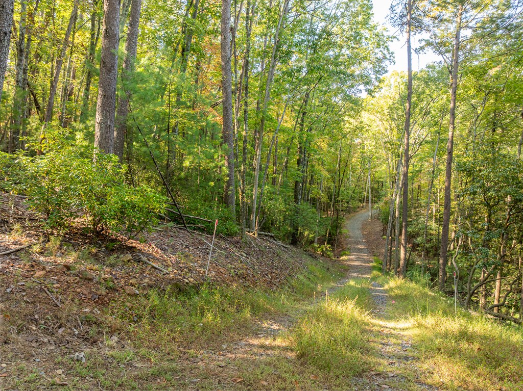 432786 Ellijay
 Land