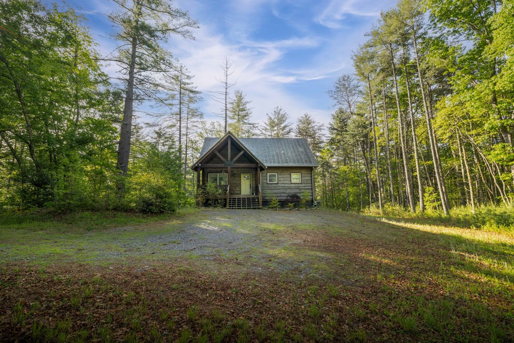 432787 Mineral Bluff Active