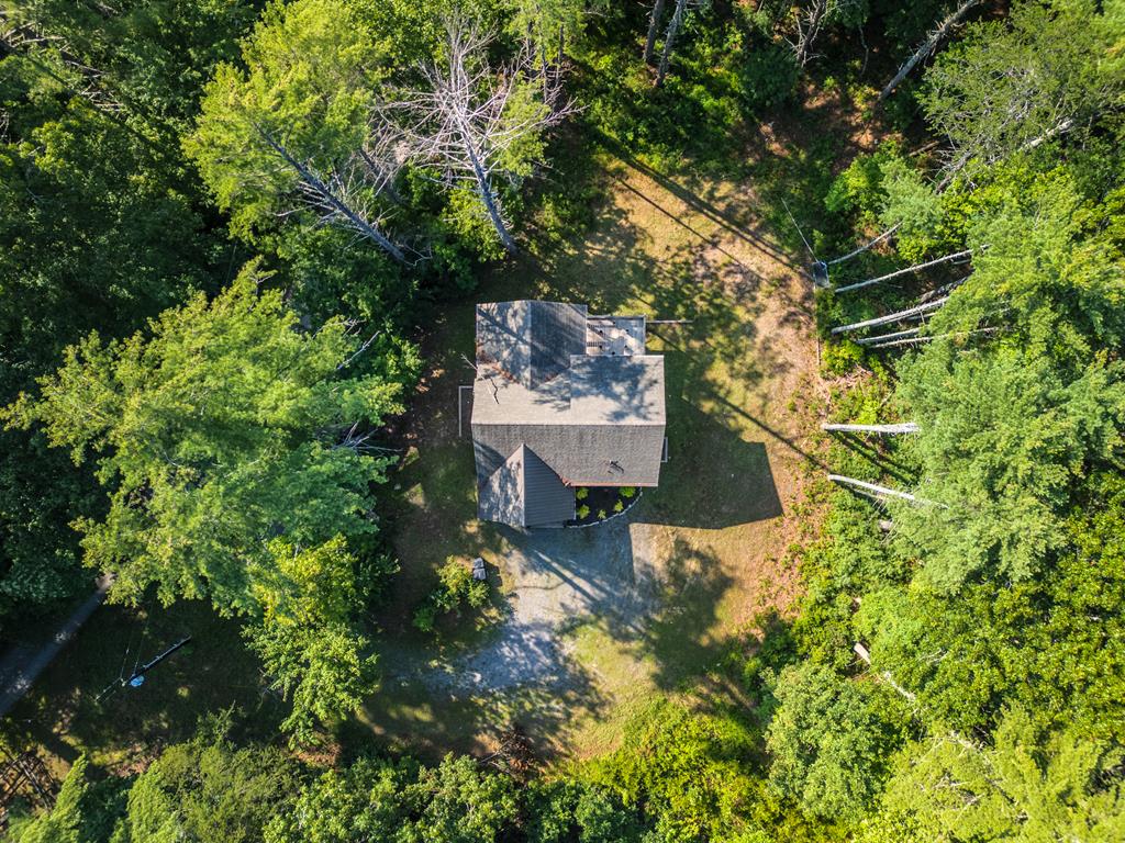 432787 Mineral Bluff Active