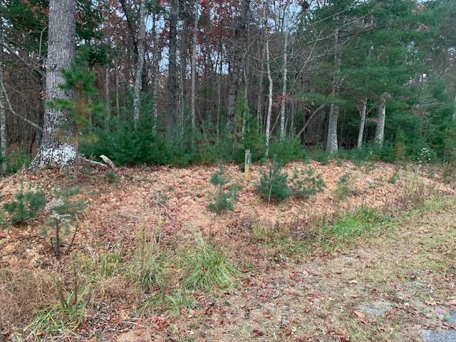 432788 Blairsville
 Land