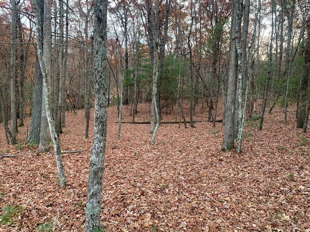 432788 Blairsville
 Land