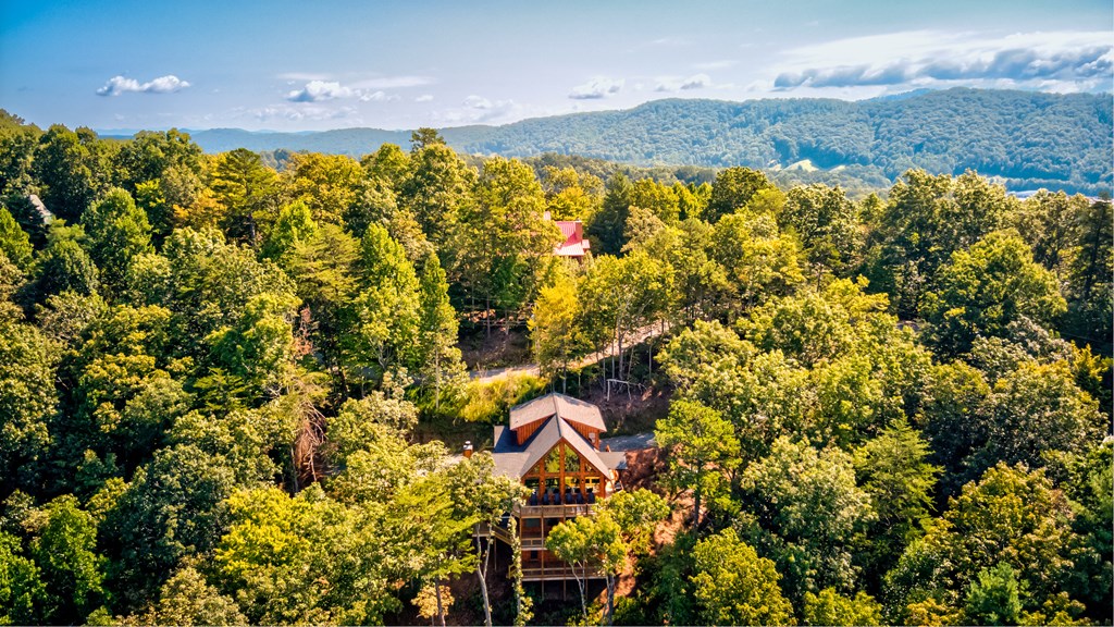 432789 Blue Ridge Active