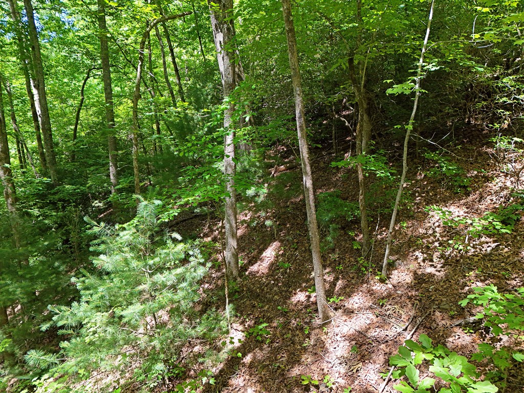 432799 Hiawassee
 Land