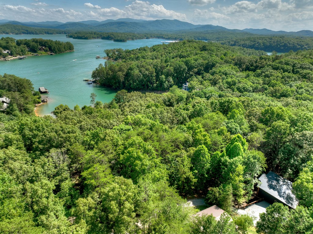 432803 Morganton Active