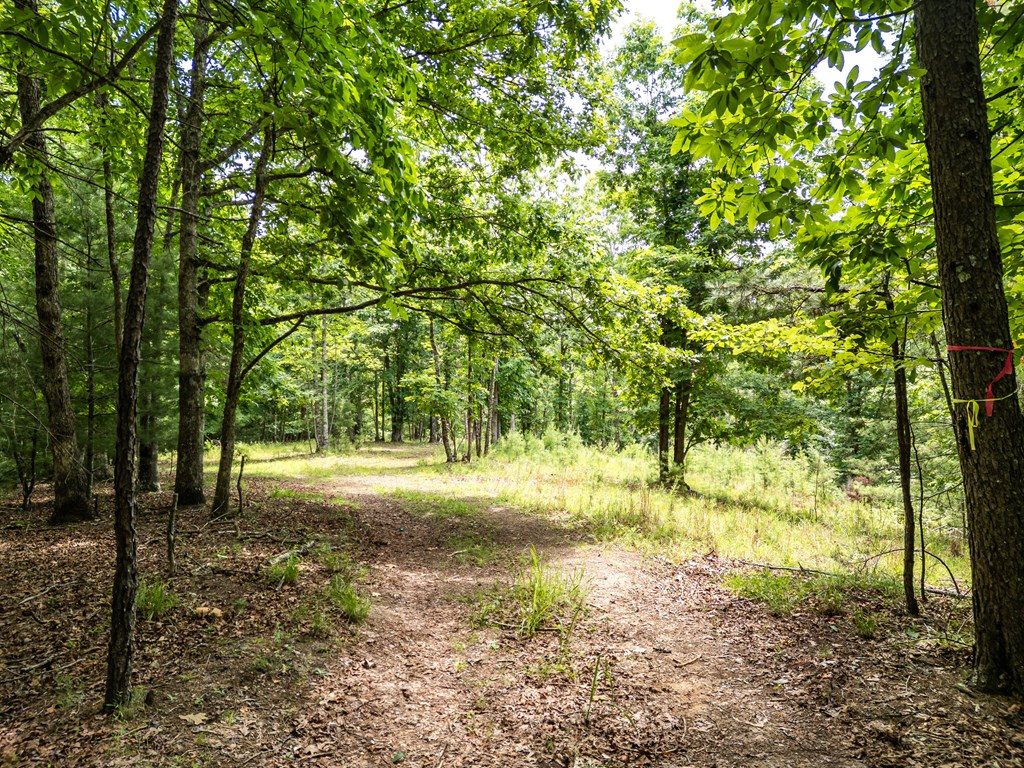432805 Brasstown
 Land