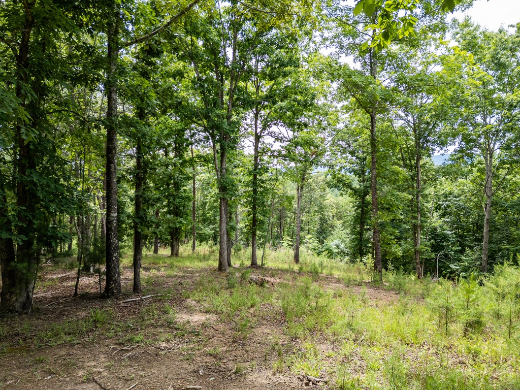 432805 Brasstown
 Land