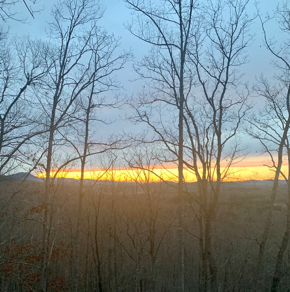 432806 Brasstown
 Land