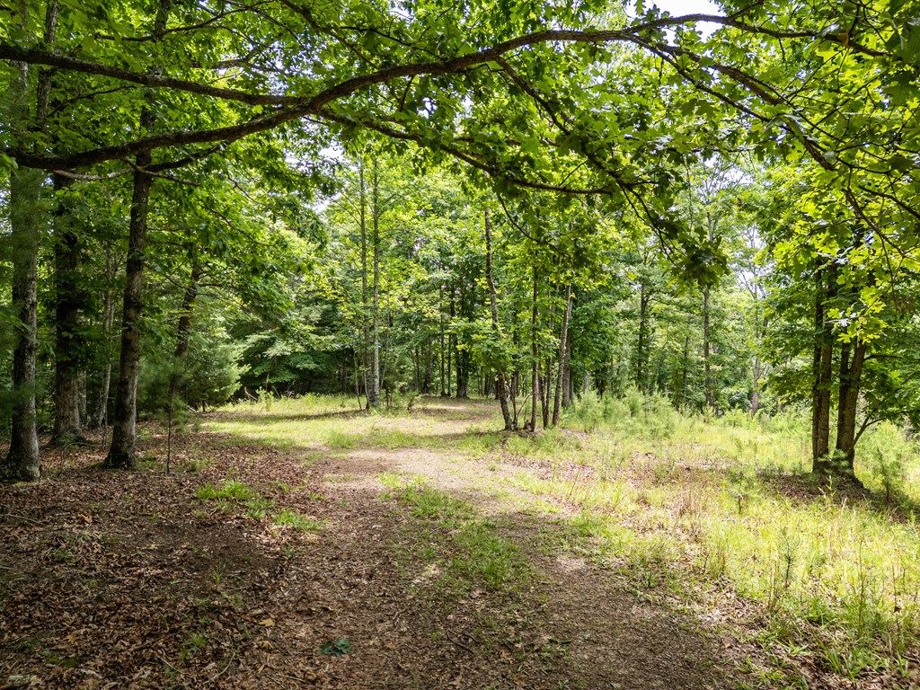 432807 Brasstown
 Land
