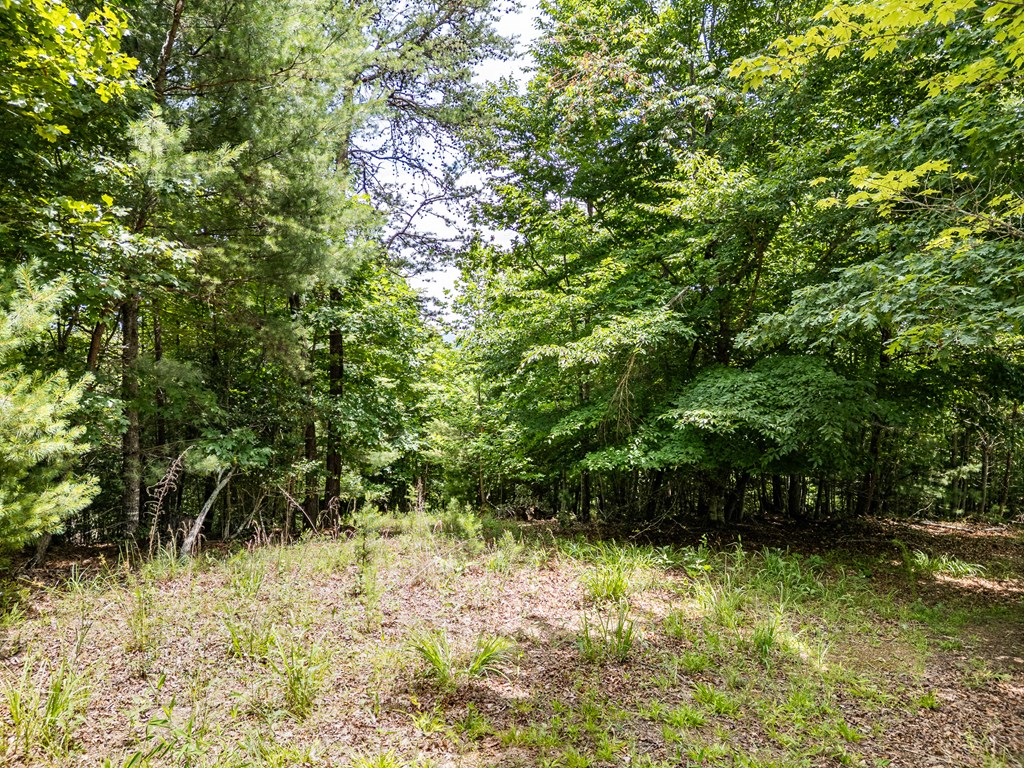 432807 Brasstown
 Land