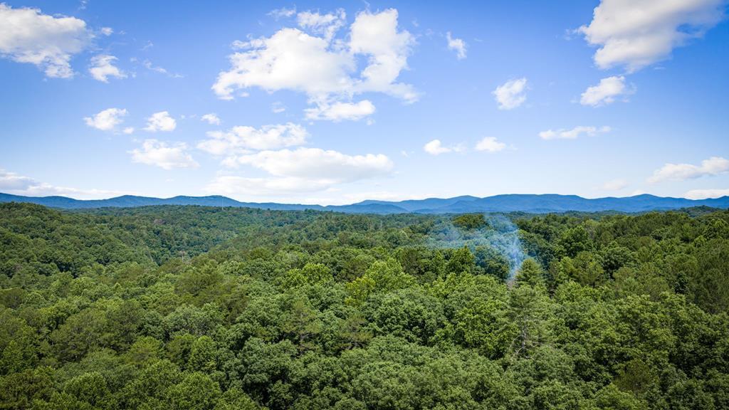 432809 Ellijay Active