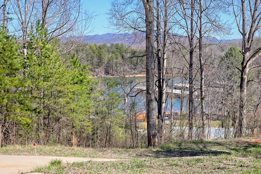 432811 Hiawassee Active