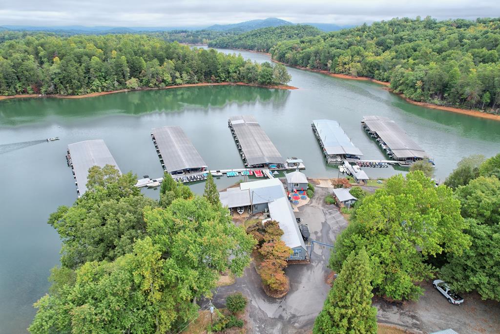 432811 Hiawassee Active