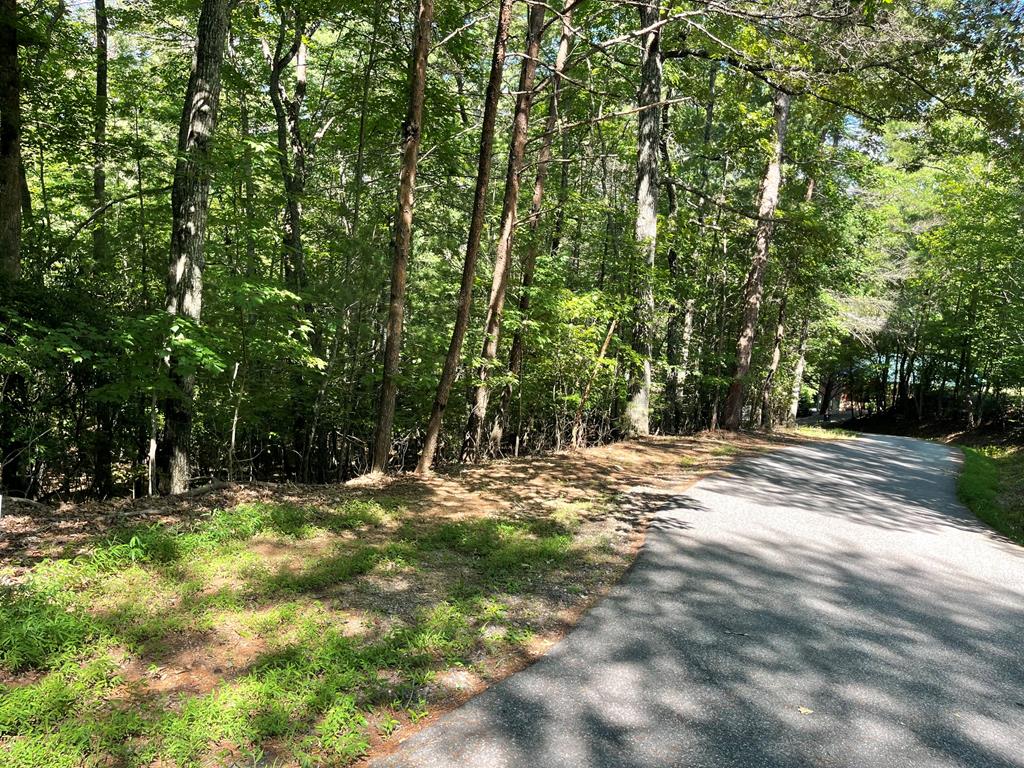 432814  Land
