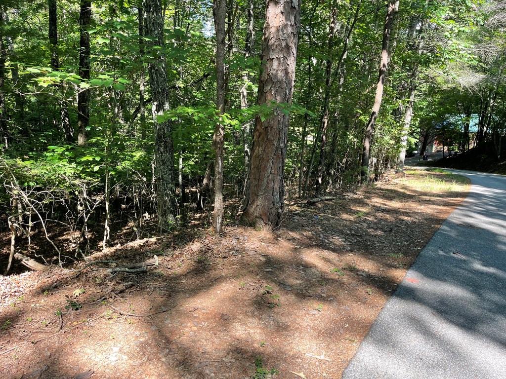 432814 Blairsville
 Land