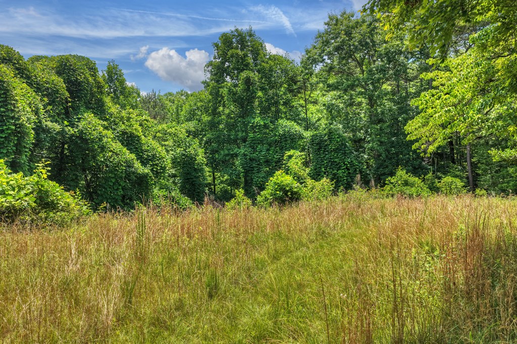 432817 Blue Ridge
 Land
