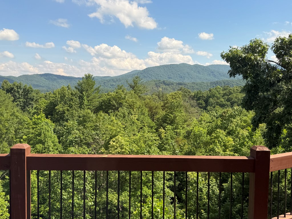 432822 Blue Ridge Active