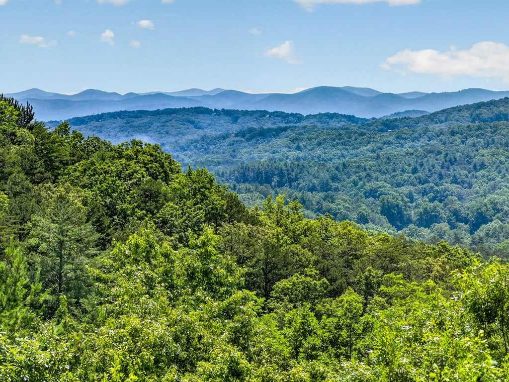 432822 Blue Ridge Active