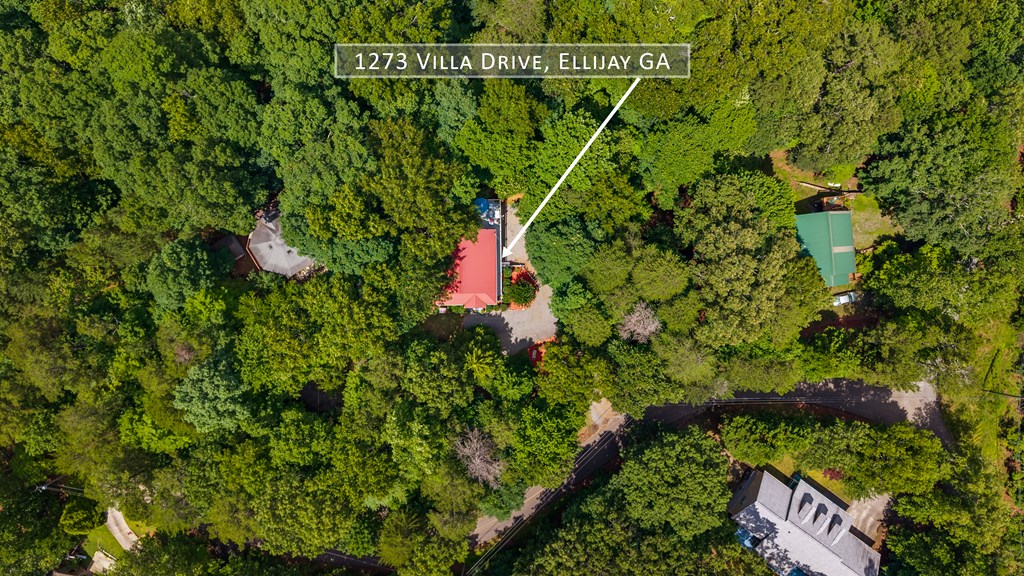 432823 Ellijay Active